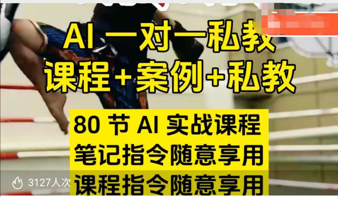 AI指令实战课，课程+案例，80节AI实战课程，笔记指令随意享用，课程指令随意享用（更新7月）-冒泡网-兼职资源项目学习教程网