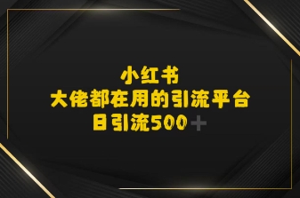 小红书，大佬都在用的大粉平台，日引流500+-冒泡网-兼职资源项目学习教程网