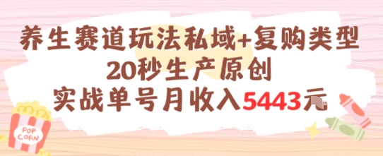 养生赛道玩法私域+复购类型，20秒生产原创实战单号月收入5k+-冒泡网-兼职资源项目学习教程网