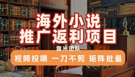 海外小说推广返利项目，视频投喂， 一刀不剪，矩阵批量-冒泡网-兼职资源项目学习教程网