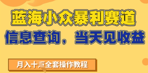 蓝海小众暴利赛道，信息查询，当天见收益，不讲玄学，7天搞了2W+-冒泡网-兼职资源项目学习教程网