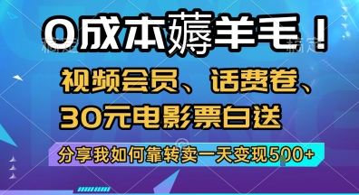 0成本薅羊毛!视频会员、话费卷、30元电影票白送，分享我如何靠转卖一天变现5张+【揭秘】-冒泡网-兼职资源项目学习教程网