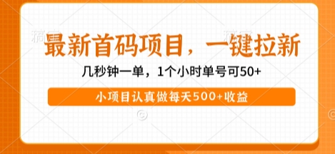 最新首码项目，操作最简单，收益高，一键拉新，1个小时单号可50+，小项目认真做每天5张+收益【揭秘】-冒泡网-兼职资源项目学习教程网