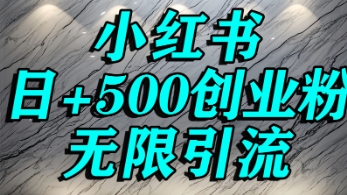 小红书无限引流创业粉，单人操作日引500+精准创业粉-冒泡网-兼职资源项目学习教程网