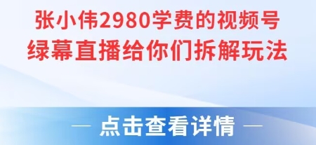 张小伟2980付费额视频号绿幕直播给你们拆解玩法-冒泡网-兼职资源项目学习教程网