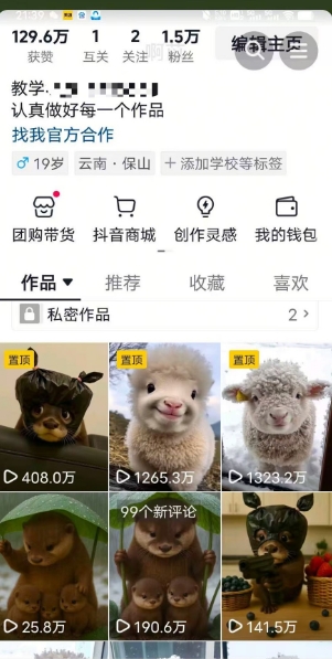 抖音65W博主AI萌宠课程，新赛道流量大，原创+二创，全套课程+提示词-冒泡网-兼职资源项目学习教程网