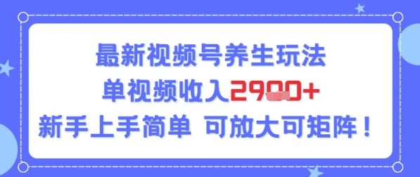 视频号养生玩法，单视频收入2.9k，新手上手简单-冒泡网-兼职资源项目学习教程网